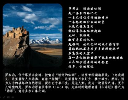 赞!河东区综合行政执法局连获两项荣誉!